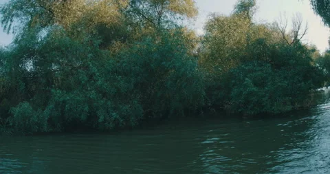 Danube Delta Channel Stock Footage 161915474