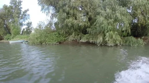 Danube Delta landscape Stock Footage 53413737