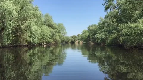 Danube Delta, Romania Stock Footage 67054035