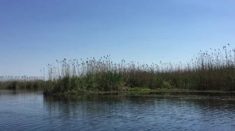 Danube Delta, Romania Stock Footage 67054067