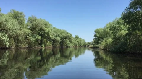Danube Delta, Romania Stock Footage 67059458