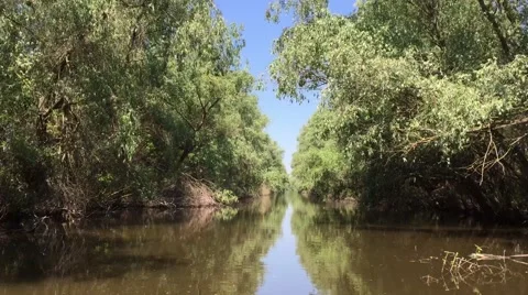 Danube Delta, Romania Stock Footage 67060050