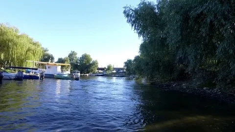 Danube Delta, Romania Stock Footage 79823889