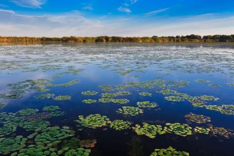 Danube delta, romania Stock Photos