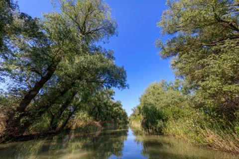 Danube Delta, Romania Stock Photos