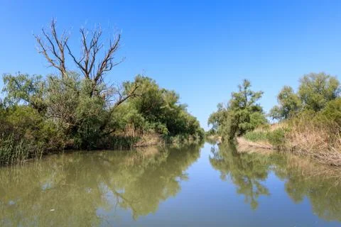 Danube Delta, Romania Stock Photos