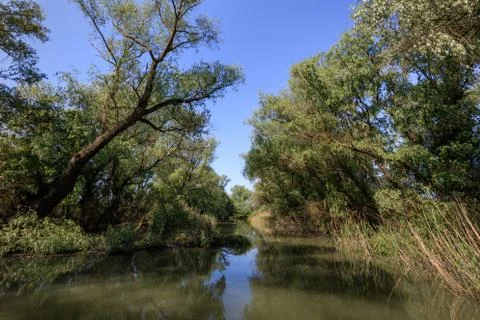 Danube Delta, Romania Stock Photos