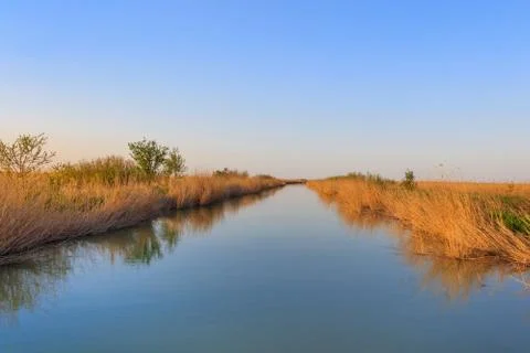 Danube Delta, Romania Stock Photos