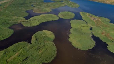 Danube Delta, Romania Stock Photos