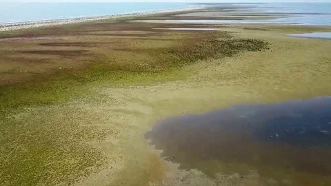 Danube Delta wilderness , Romania Stock-Footage 80624656