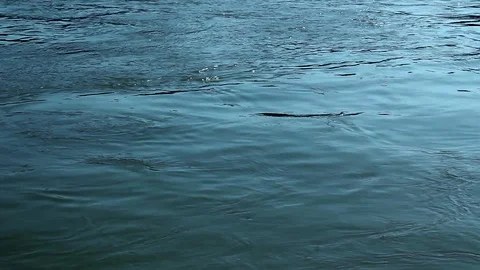 Danube pan HD Stock Footage 122297622