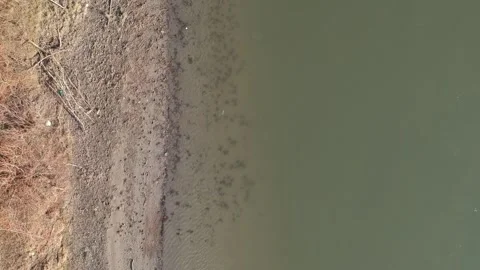 Danube river bed top view Video stock 145020055