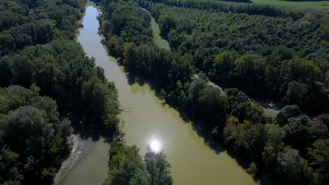 Danube River flooding, water flowing into the forests around, Slovakia, 4k Stock Footage 342939372