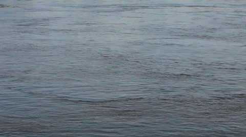 Danube river flowing Stock Footage 35906069