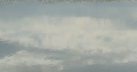 Danube river stream between Romania and Serbia 4k video Stock Footage 295097965