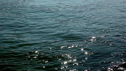 Danube slowmotion Stock Footage 122297620