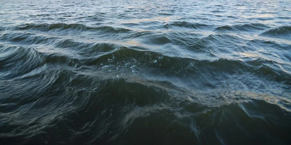 Danube waves Stock Photos