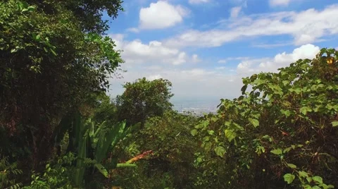 Dapa, Colombia Stock Footage 62414179