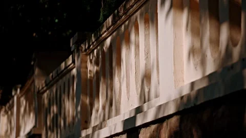 Dappled light and shadow Stock Footage 272213720