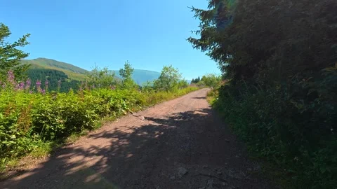 Dappled light dances on earthy trail. Balkan Mountains Serbia Stock Footage 344531561