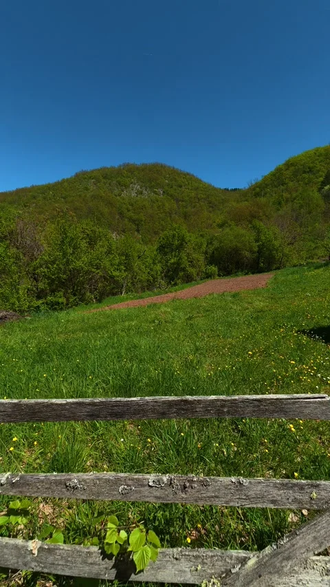 Dappled shadows fall across red earth. Ovcar Kablar Gorge, Serbia. Vertical Видео 334225300