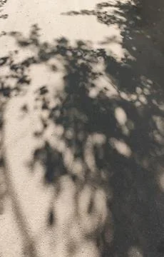 Dappled shadows from overhead trees create an organic pattern on rough paveme Stock Photos