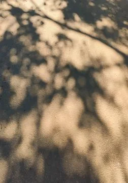 Dappled shadows from overhead trees create an organic pattern on rough paveme Stock Photos