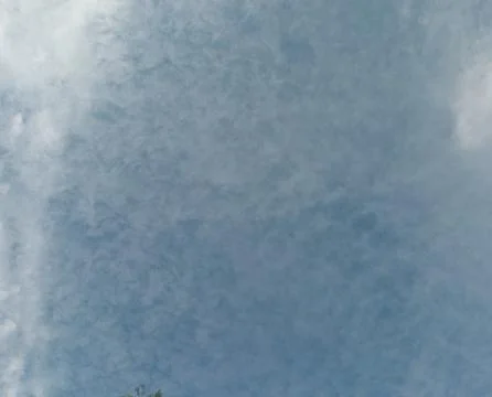 Dappled Sky Above Stock Photos