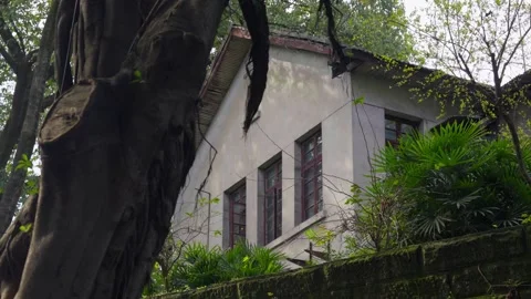 Dappled sunlight and leaf shadows on the wall of a vintage house. Stock Footage 330564350
