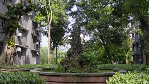 Dappled sunlight and leaf shadows on the wall of a vintage house. Video stock 330564358