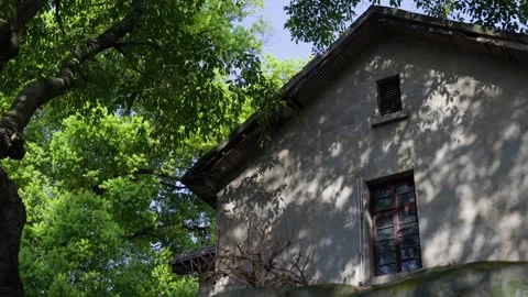 Dappled sunlight and leaf shadows on the wall of a vintage house. Stock Footage 330564373