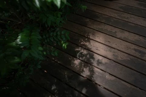 Dappled sunlight and leafy shadows cast across a wooden deck in a tranquil .. 스톡 사진
