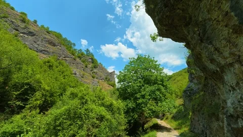 Dappled sunlight bathes a quiet forest trail. Gradasnica River Canyon, Serbia Vídeo Stock 341961981