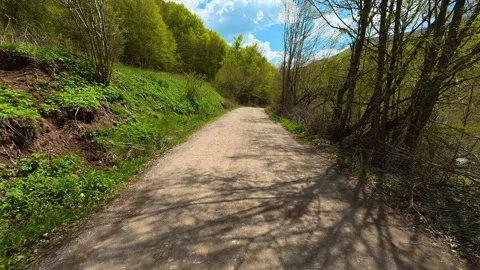 Dappled sunlight filters through budding trees. Near Tupavica Waterfall Stock Footage 335532014