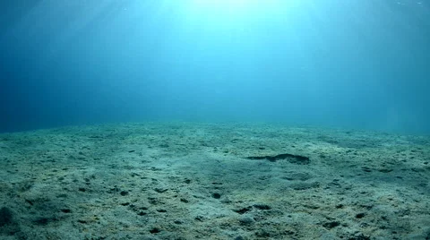 Dappled Sunlight on Sand Stock Footage 64268091