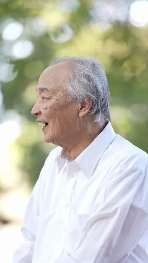 In the dappled sunlight of a spring natural park, a Japanese man in his 70s Stock Footage 307830342
