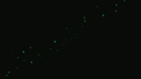 Dappled sunlight through vibrant green foliage, cinematic nature light back.. Stock Footage 343659944