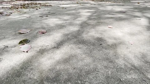 Dappled Tree Shadows On Paved Path in China 4K Stock Footage 346205760