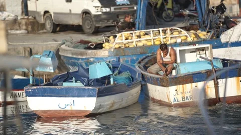 Dar Chaaban POND 5 Upload (9) Video stock 101564184