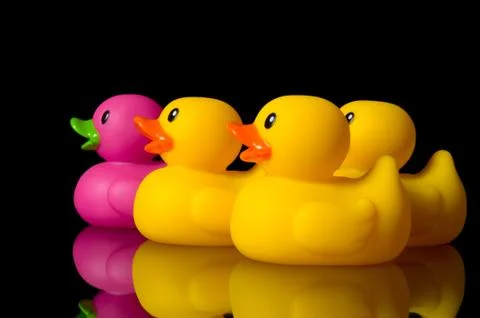 Dare to be different - rubber ducks on black Stock Photos