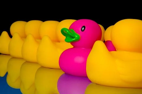 Dare to be different - rubber ducks on black Stock Photos