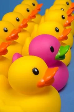 Dare to be different - rubber ducks on blue Stock Photos