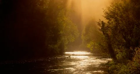 Dargo River at Sunset, Australia Foto stock