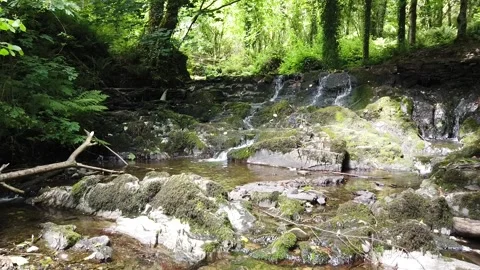 Darius braciulis Stock Footage 133615677