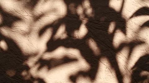 Dark abstract backdround of tree leaves silhouette shadows motion on brown wall Stockbeeldmateriaal 253974221