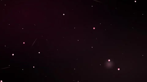 Dark abstract background, with floating pink, petals and soft, light partic.. Stock Footage 337553850