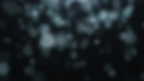 Dark abstract background with soft bokeh blur and floating dust particles, cr Video stock 328707397