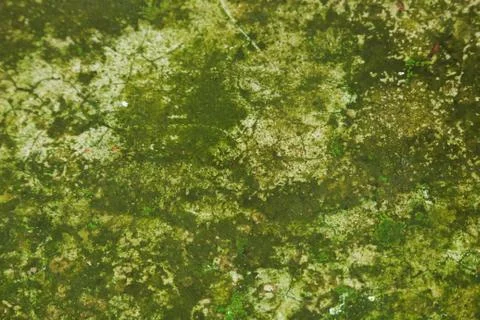 Dark abstract road texture or background. Stock Photos