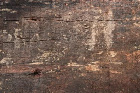 Dark abstract road texture or background. Stock Photos