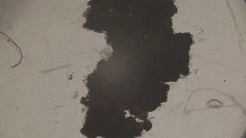 Dark abstract spot Under Microscope 4K Super Magnification Stock Footage 238378162